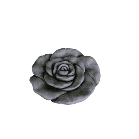 Bloem groot