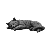 Liggende kat