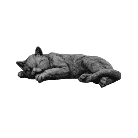 Liggende kat
