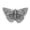 Vlinder 22x14 cm