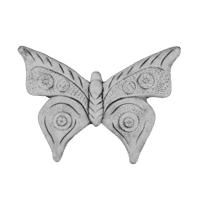 Tropische vlinder