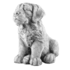 Golden retriever H30 cm
