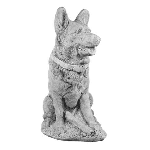 Herdershond H43 cm