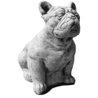 Franse bulldog
