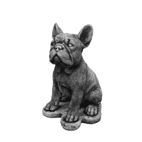 Franse bulldog klein