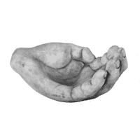 Drinkbak hand