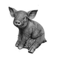 Varken zit klein H23 cm