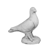 Duif slank H25 cm