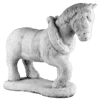 Paard