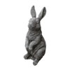 Haas groot 46 cm