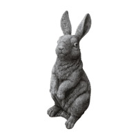 Haas groot 46 cm