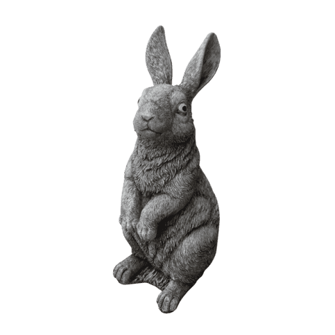 Haas groot 46 cm