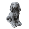 King Charles H31 cm