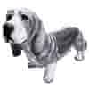 Basset H36 cm