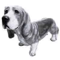 Basset H36 cm