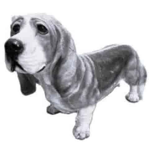 Basset H36 cm
