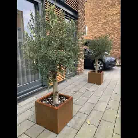 Mediterrane tuin budget