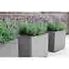 Provence tuin budget