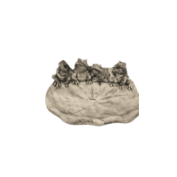 Drinkschaal kikkers klein Ø 18 cm