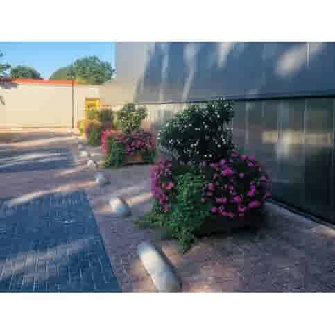 Varkensrug beton ROND grijs