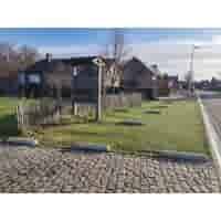 Varkensrug beton ROND grijs