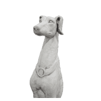 Hazewindhond 78 cm Hazewindhond 78 cm