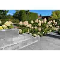 Fiora blok 50x20 cm en 20 cm hoog grijs