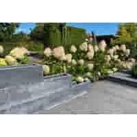 Fiora blok 50x20 cm en 20 cm hoog antraciet