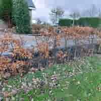 L elementen 50 cm hoog en 50 cm breed antraciet