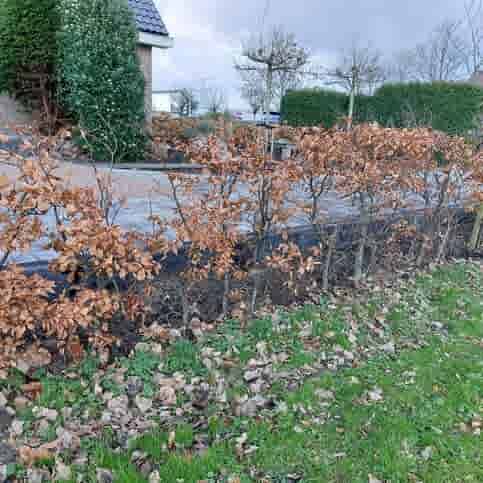 L elementen 50 cm hoog en 50 cm breed antraciet