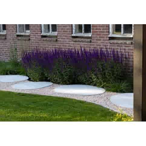 Inspiratie