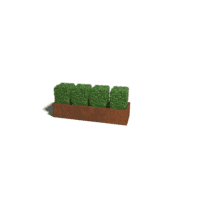 Cortenstaal plantenbak Texas XXL 200x60 cm