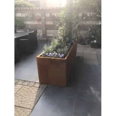 Cortenstaal plantenbak Texas XXL 200x60 cm