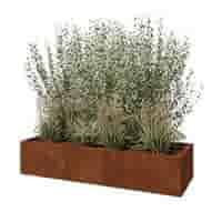 Cortenstaal plantenbak Texas XXL 150x50 cm
