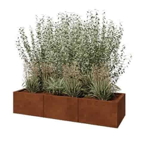 Cortenstaal plantenbak Texas XXL 150x50 cm
