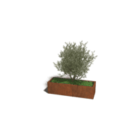 Cortenstaal plantenbak Texas XXL 150x50 cm