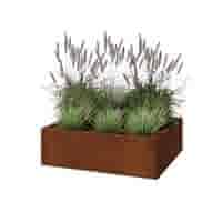 Cortenstaal plantenbak Texas 100x80 cm