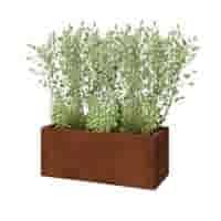 Cortenstaal plantenbak Texas 100x40 cm