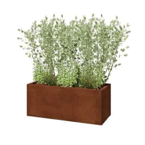 Cortenstaal plantenbak Texas 100x40 cm