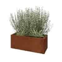 Cortenstaal plantenbak Texas 80x30 cm