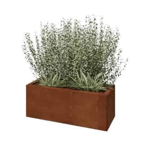 Cortenstaal plantenbak Texas 80x30 cm