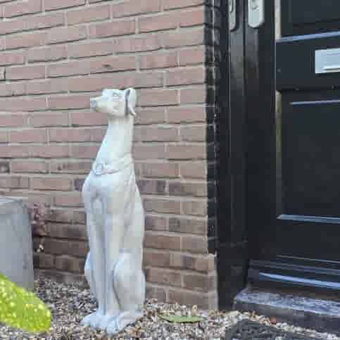 Betonnen Hazewindhond Tuinbeeld 78 cm