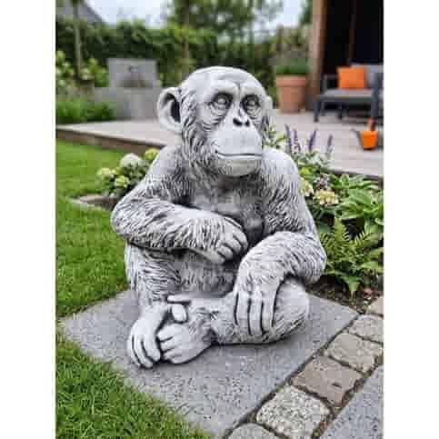 Groot betonnen tuinbeeld van een chimpansee 50 cm
