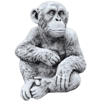 Groot betonnen tuinbeeld van een chimpansee 50 cm