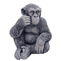 Betonnen tuinbeeld Chimpansee klein 36 cm
