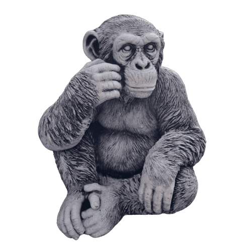 Betonnen tuinbeeld Chimpansee klein 36 cm