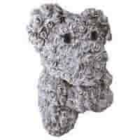 Betonnen beer met roosjes H35 cm