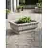 Luxe betonnen plantenbak met bladmotief 37 cm