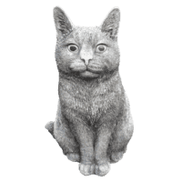 Zittende poes H30 cm