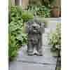 Betonnen Labradoodle H37 cm